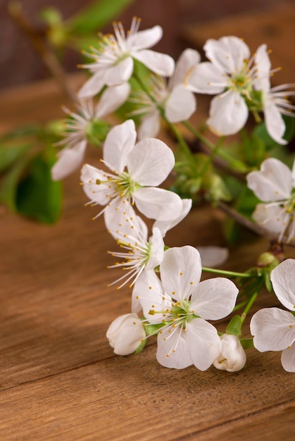 Imagen del árbol de flores de cerezo blanco de primavera en la mesa de madera