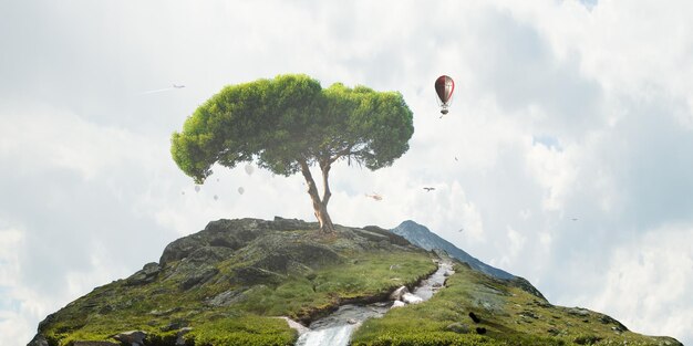 Imagen de árbol y paisaje.