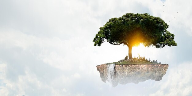 Imagen de árbol y paisaje.