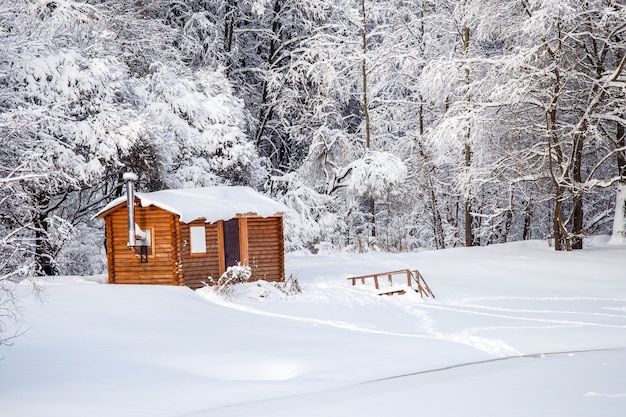 Imagen de árboles de invierno con nieve y cielo azul durante el día