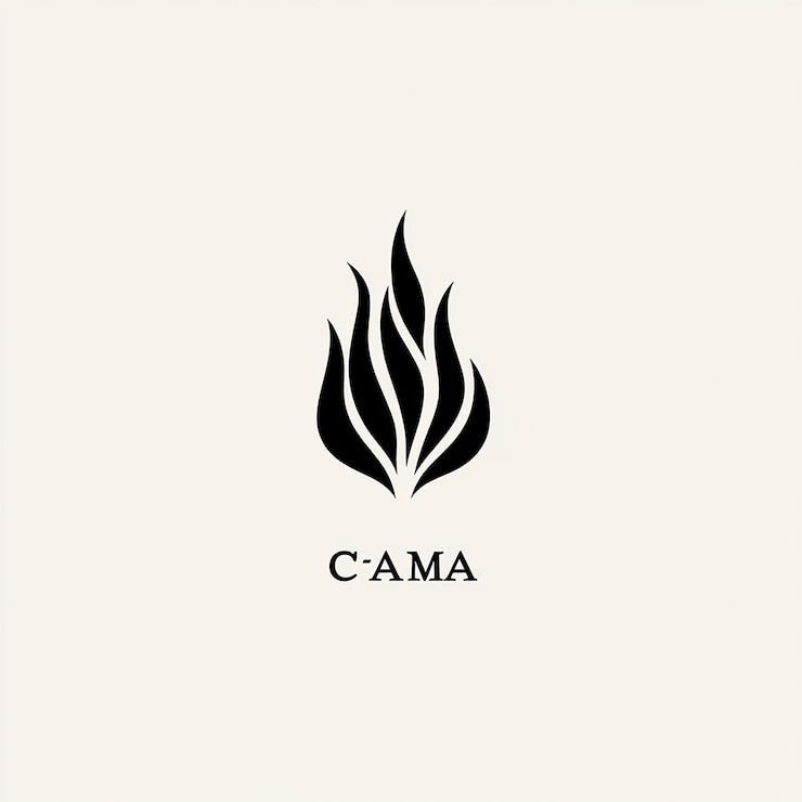 Foto una imagen en blanco y negro de un símbolo de fuego negro