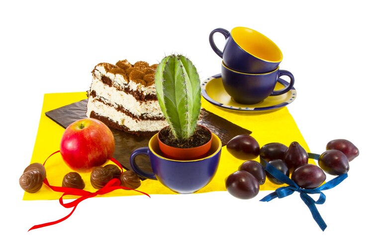 Foto imagen de bodegón de dulzura con un cactus verde