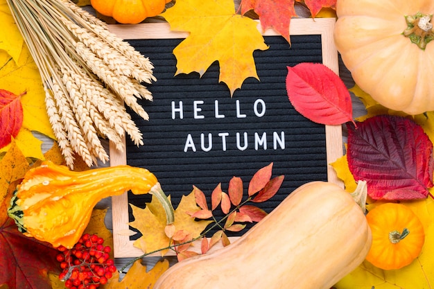 Foto imagen de bodegón otoñal con centeno, calabazas, follaje colorido y pizarra con palabras hola otoño