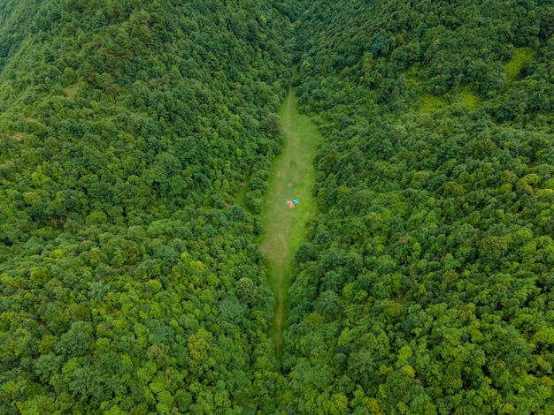 Imagen de un bosque tomada por un avión no tripulado