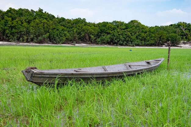 Imagen de bote de remos en la orilla del río bote de remos en la naturaleza junto al río bote de remos de madera en la orilla del río