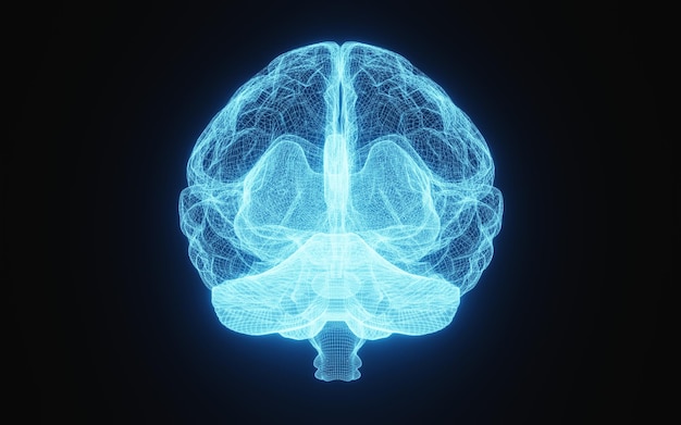 Imagen brillante de rayos X del cerebro humano en estructura alámbrica azul sobre fondo negro aislado Ciencia y concepto médico Frente a la representación de ilustración 3D del cerebro