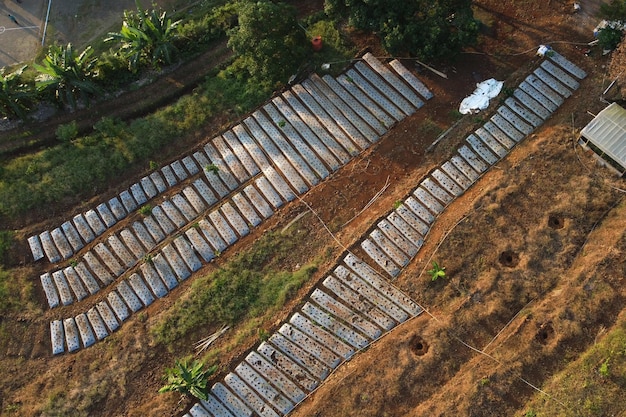 imagen de un campo de agricultores en una ladera de la montaña