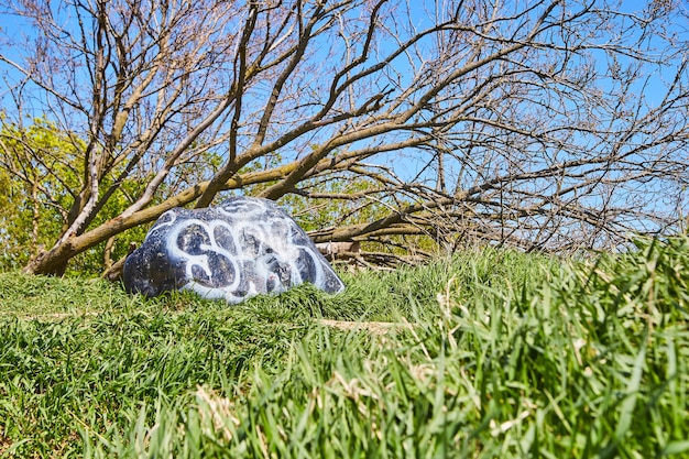 Imagen de campo verde con roca rociada con pintura blanca y árbol grande