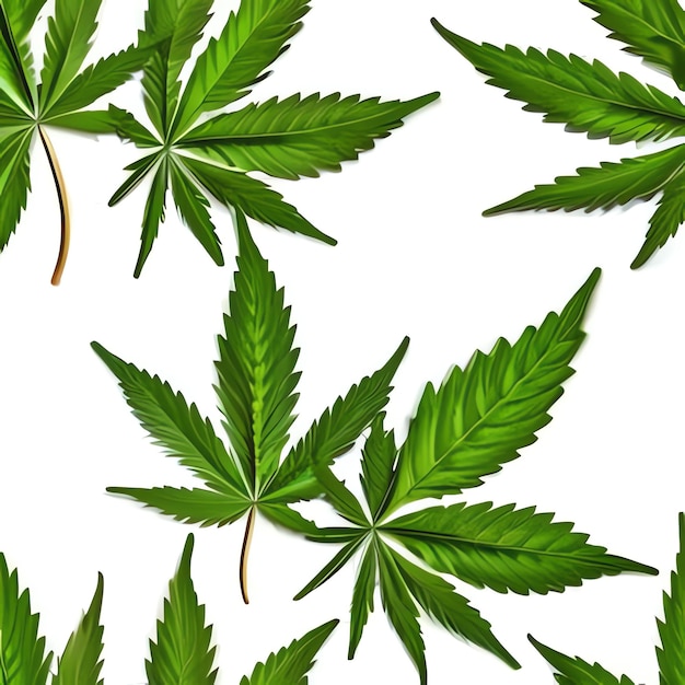 Foto una imagen de cannabis para el cannabis medicinal