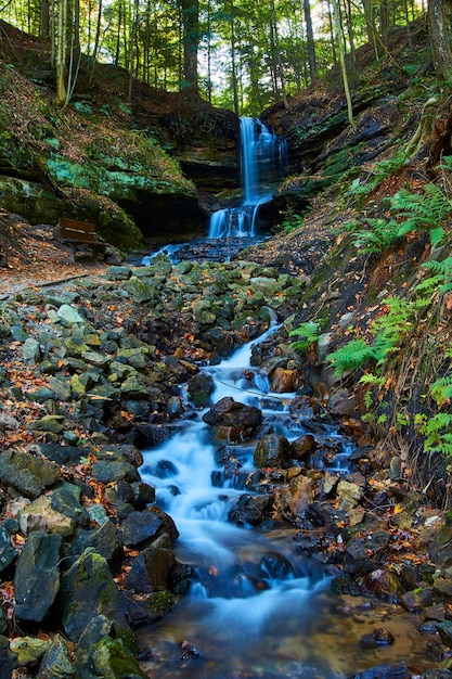 Imagen de la cascada Horseshoe Falls con un pequeño arroyo de rocas grandes visibles que conducen a un acantilado con raíces de árboles de un bosque expuesto