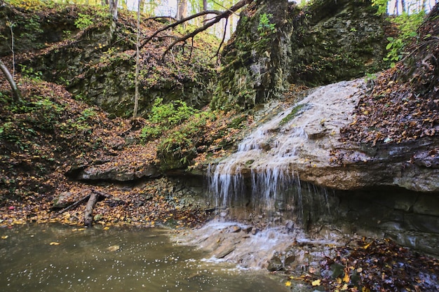 Imagen de la cascada que gotea cuesta abajo en agua fangosa con hojas de otoño y rocas grandes