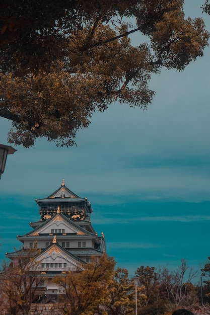 Imagen del Castillo de Osaka tomada en primavera con los cerezos en flor