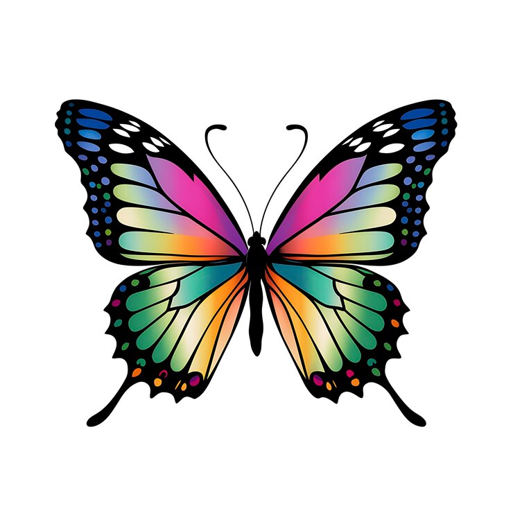 Imagen colorida de la mariposa