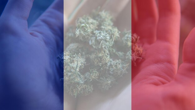 Imagen compuesta digital de la bandera francesa sobre una persona con marihuana