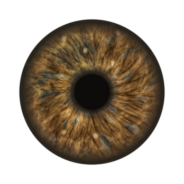 Imagen compuesta digital del iris contra un fondo blanco