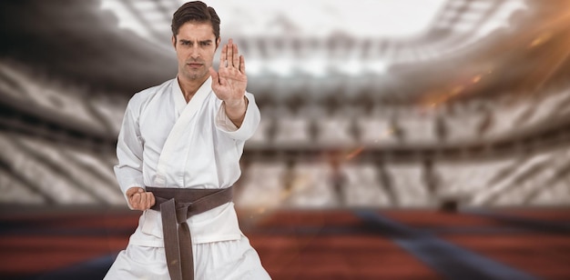 Imagen compuesta de retrato de luchador realizando postura de karate