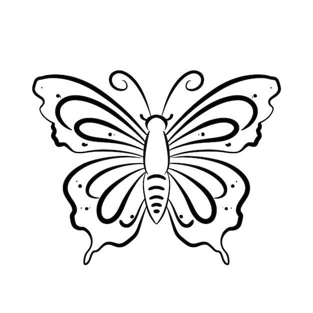 Imagen del contorno de la mariposa