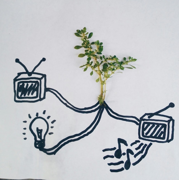 Imagen creativa de la planta con el equipo en papel blanco