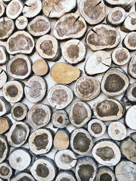 Imagen en cuadro completo del arte del tronco del árbol en la pared