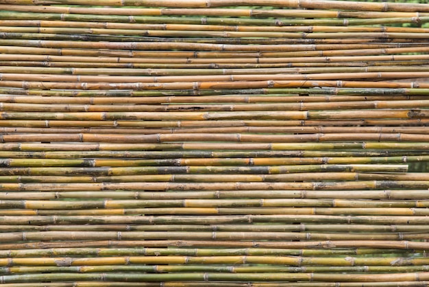 Imagen en cuadro completo de fondo de bambú