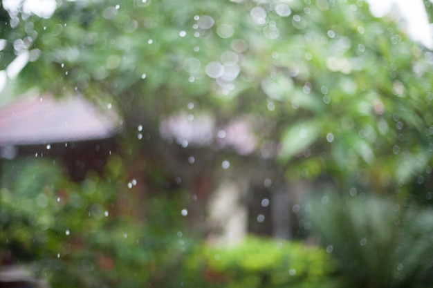 Imagen desenfocada de la lluvia