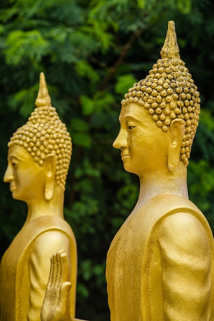 imagen dorada de Buda