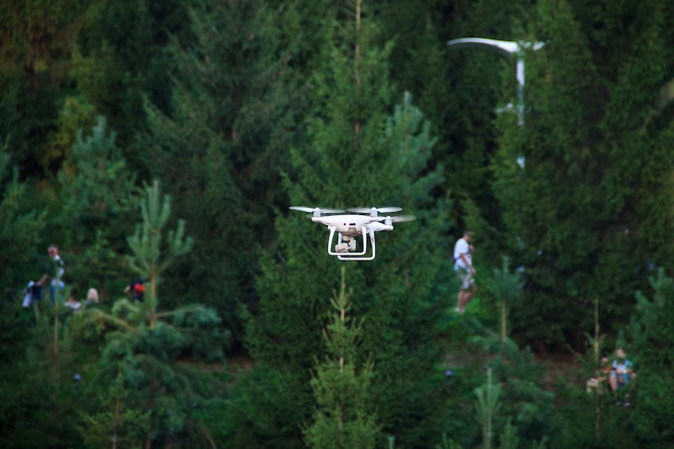 Foto imagen de un dron blanco volando sobre un parque con abetos oscuros, siluetas de personas y bosque borroso.