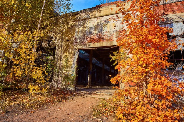 Imagen de edificio abandonado con interior oscuro y misterioso y hojas de naranja en un árbol de otoño fuera