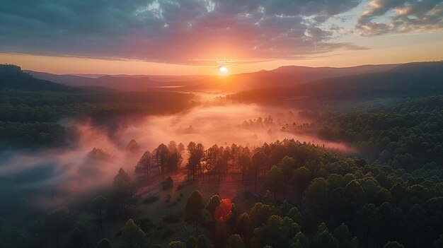 Imagen de enfoque agudo que muestra una vista de avión no tripulado de las montañas al amanecer en el bosque con una niebla una niebla en los árboles