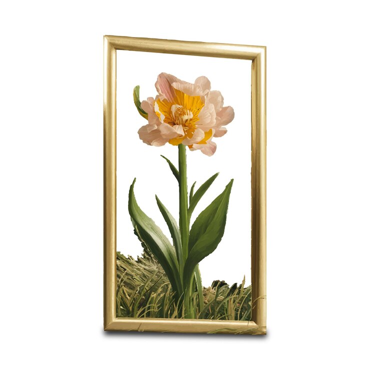 una imagen enmarcada de una flor con un marco de oro