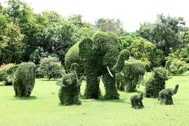 Esta imagen es un elefante hecho de árboles.