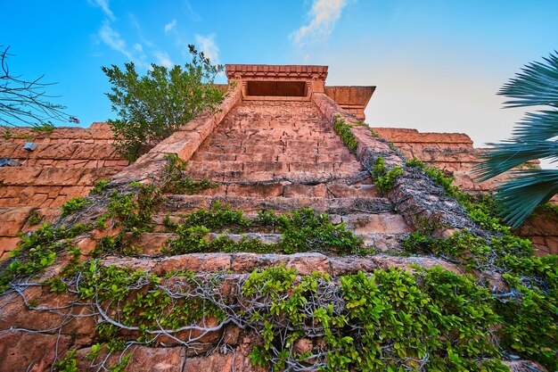 Imagen de los escalones del templo antiguo cubiertos de enredaderas y hiedra