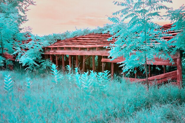 Imagen de estructura de madera vieja con un bosque verde azulado rodada en infrarrojos