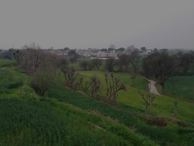 Imagen de fincas con cielo nublado.