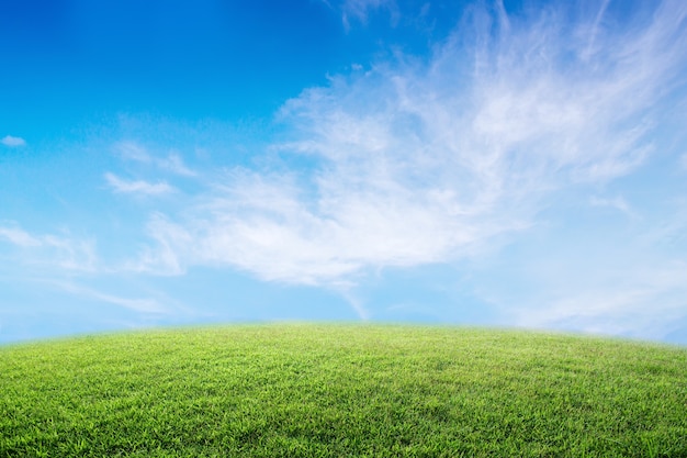 Imagen de fondo del campo de hierba enorme bajo el cielo azul