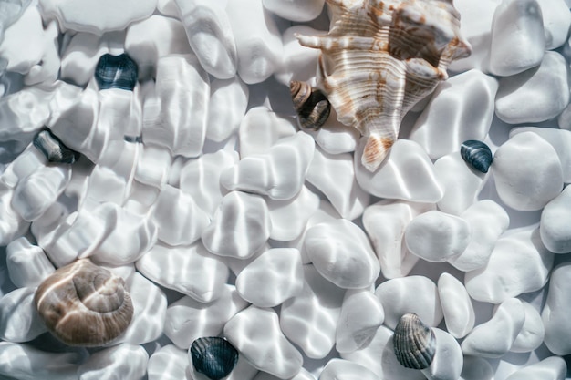 Imagen de fondo creativa de piedra de guijarros lisos redondeados en negro blanco y conchas bajo agua transparente con olas