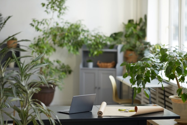 Imagen de fondo del interior de la oficina mínima decorada con muchas plantas verdes, concepto de invernadero y floristería, espacio de copia