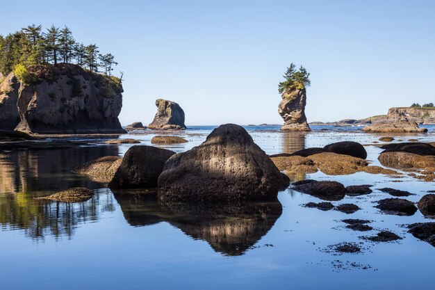 Imagen de fondo natural de un paisaje escénico en la costa del océano