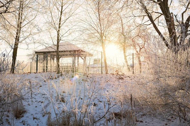 Imagen de una glorieta de invierno y árboles cubiertos de nieve. Concepto de Navidad y año nuevo. Descanse en el sanatorio. Técnica mixta