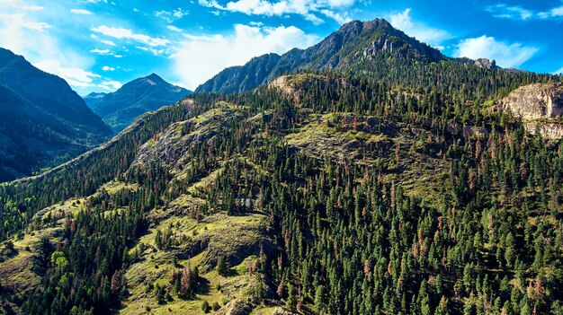 Imagen de grandes montañas rocosas de colorado cubiertas de pinos