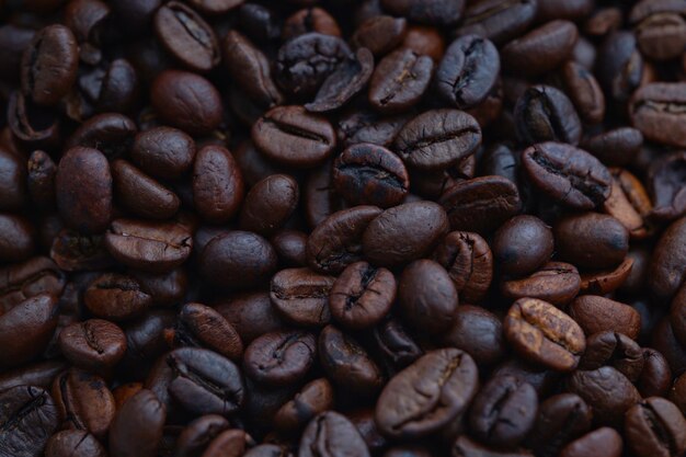 Foto imagen de granos de café oscuro sobre fondo blanco.