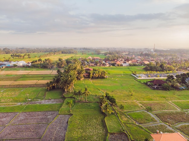 Imagen de un hermoso campo de arroz en terrazas en temporada de agua e irrigación de dronesVista superior del arrozal