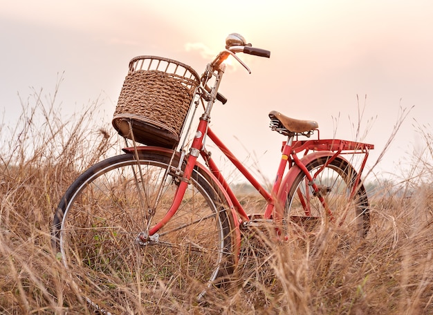 Imagen de hermoso paisaje con bicicleta al atardecer en el campo de hierba de verano