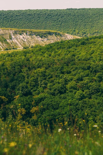 Imagen de hermosos paisajes verdes de verano en una zona montañosa en el campo