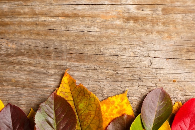 Foto imagen de hojas de otoño sobre fondo con textura de madera