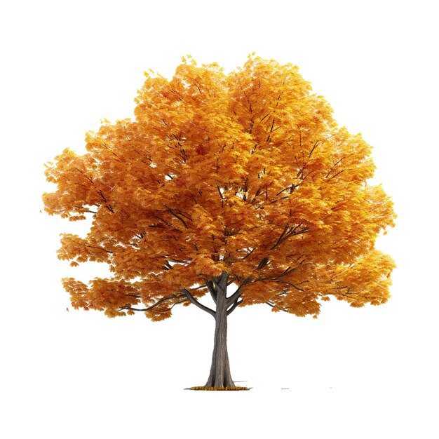 Foto imagen del icono vectorial de oramge autumm tre