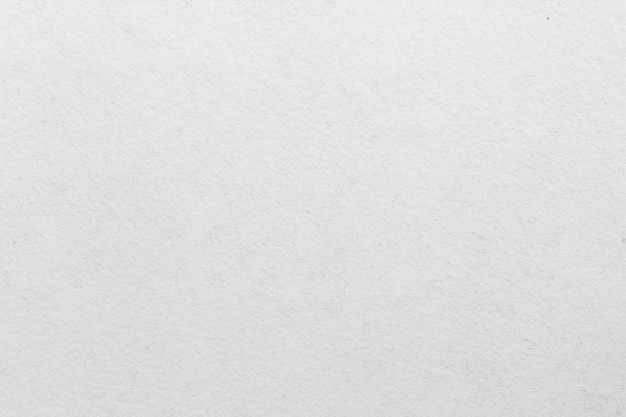 Imagen instantánea premium que captura la excelencia en cada píxel