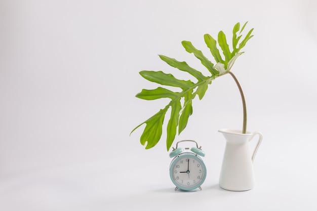 Imagen interior de mesa blanca con planta verde sobre pared blanca