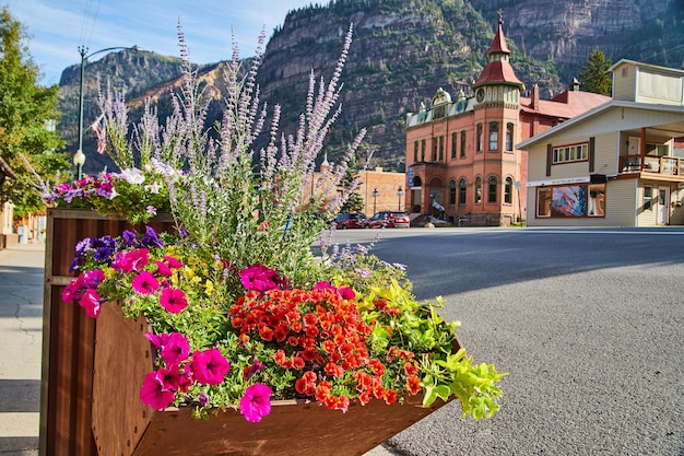 Imagen de la jardinera en la intersección de la ciudad de montaña