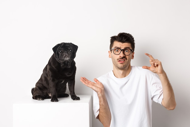 Imagen de un joven desconcertado sentado cerca de un lindo pug negro, mostrando un tamaño pequeño y encogiéndose de hombros confundido, blanco.